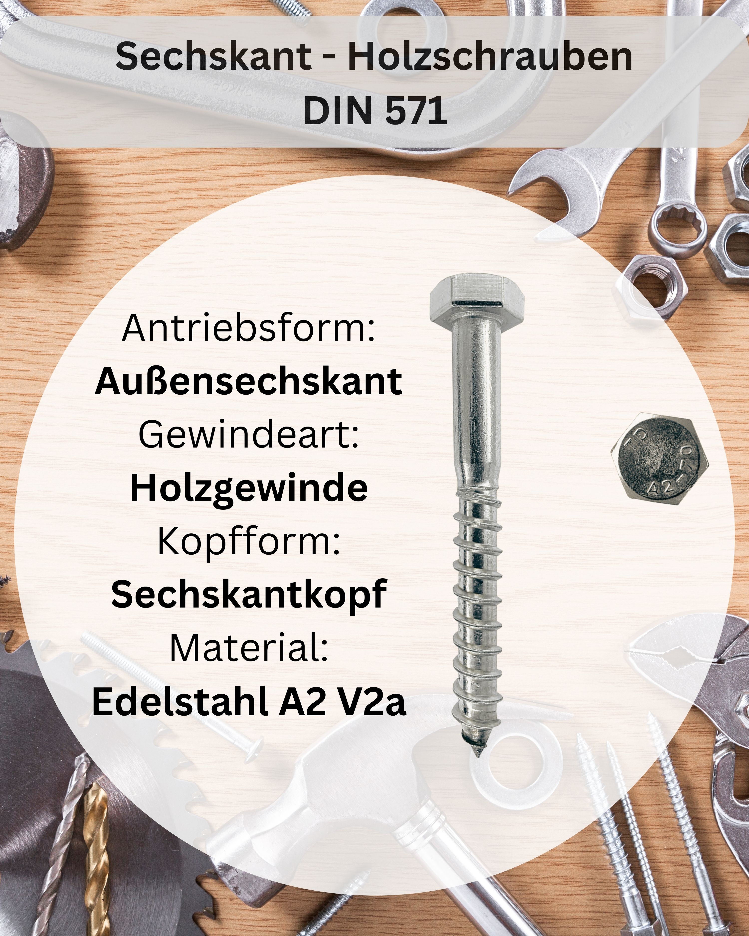 meinschraubenversand.de - Sechskant Holzschrauben mit Unterlegscheiben - DIN 571 + DIN 9021 - rostfreier Edelstahl A2 V2A - 10 x 70 mm-25 Stück